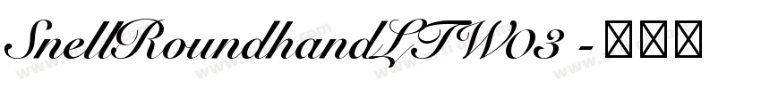 SnellRoundhandLTW03 字体转换